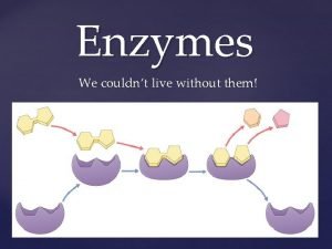 Enzymes We couldnt live without them Flow of