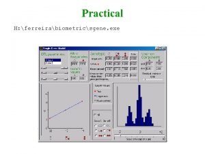 Practical aim