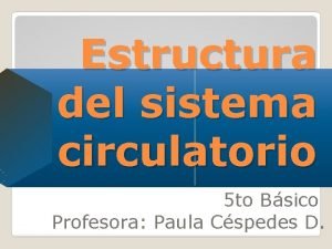 La estructura del sistema circulatorio La estructura del sistema circulatorio