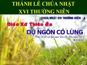 THNH L CHA NHT XVI THNG NIN TP