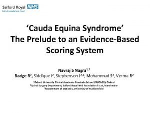 Cauda Equina Syndrome The Prelude to an EvidenceBased