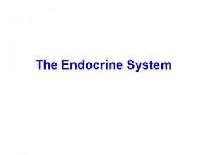 The Endocrine System Overview of Endocrine System Endocrine