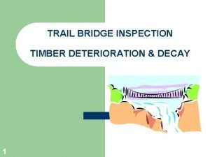 TRAIL BRIDGE INSPECTION TIMBER DETERIORATION DECAY 1 TIMBER