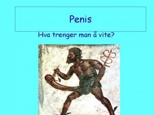 Penis Hva trenger man vite Anatomi Fakta Ereksjon