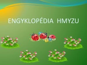 ENGYKLOPDIA HMYZU CHROBKY PATRIA DO SKUPINY HMYZU MAJ