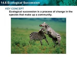 14 5 Ecological Succession KEY CONCEPT Ecological succession