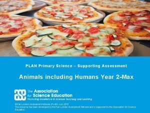 PLAN Primary Science Supporting Assessment Animals including Humans