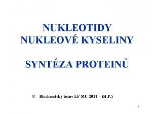 NUKLEOTIDY NUKLEOV KYSELINY SYNTZA PROTEIN Biochemick stav LF