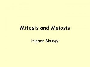 Mitosis and Meiosis Higher Biology Mitosis and Meiosis