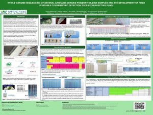 WHOLE GENOME SEQUENCING OF SEVERAL CANNABIS DERIVED POWDERY