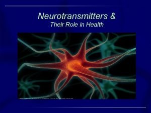 Excitatory neurotransmitters function