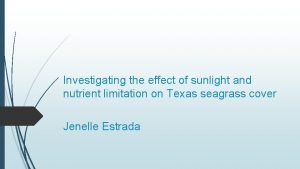 Investigating the effect of sunlight and nutrient limitation