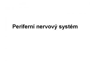 Perifern nervov systm Mn nervy 31 pr 8