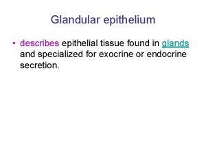 Glandular epithelium describes epithelial tissue found in glands