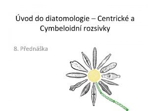 vod do diatomologie Centrick a Cymbeloidn rozsivky 8