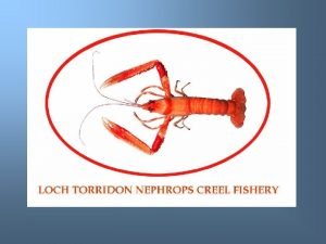 v The Loch Torridon Nephrops creel fishery came