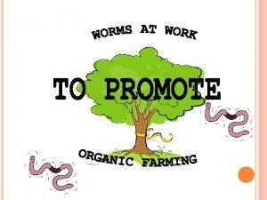 Conclusion of organic farming