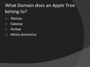 Apple tree kingdom classification