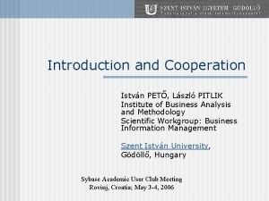 Introduction and Cooperation Istvn PET Lszl PITLIK Institute