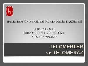 HACETTEPE NVERSTES MHENDSLK FAKLTES ELFE KARALI GIDA MHENDL