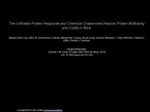 The Unfolded Protein Response and Chemical Chaperones Reduce