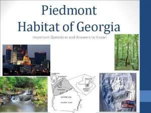 Piedmont Habitat of Georgia Important Questions and Answers