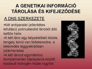 A GENETIKAI INFORMCI TROLSA S KIFEJEZDSE A DNS