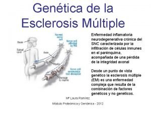 Gentica de la Esclerosis Mltiple Enfermedad inflamatoria neurodegenerativa
