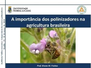 Audincia Pblica Interativa A importncia dos insetos polinizadores