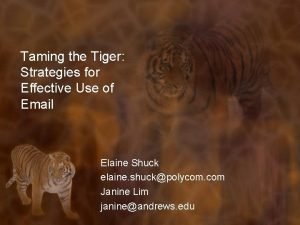 Taming the Tiger Strategies for Effective Use of