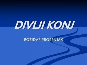 DIVLJI KONJ BOIDAR PROSENJAK IVOTOPIS PISCA Boidar Prosenjak