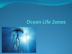 Ocean life zones