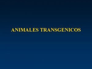 Plantas y animales transgénicos