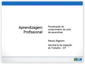 Secretaria de Inspeo do Trabalho Aprendizagem Profissional Fiscalizao