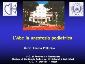 Maria teresa palladino