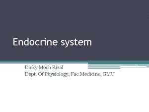 Endocrine sistem