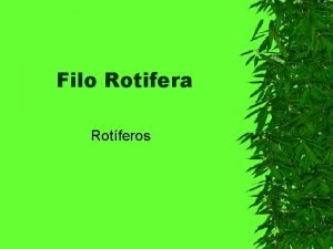 Filo Rotifera Rotferos Caractersticas Gerais Simetria bilateral Corpo