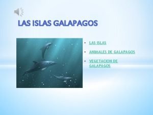 Animales de galapagos