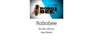 Robobee By Alec Johnson Jake Gillund Description Robo