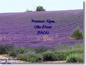 Provence Alpes Cte dAzur PACA Wazana Dominique Kedar