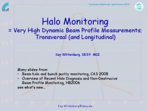 Deutsches Elektronen Synchrotron DESY Halo Monitoring Very High