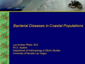 Bacterial Diseases in Coastal Populations LuzAndrea Pfister M