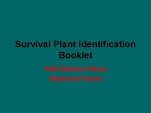 Survival Plant Identification Booklet Wild Edibles Plants Medicinal