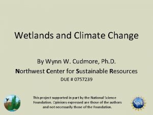 Wetlands and Climate Change By Wynn W Cudmore