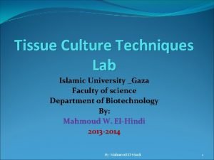 Tissue Culture Techniques Lab Islamic University Gaza Faculty