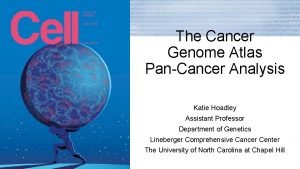 The Cancer Genome Atlas PanCancer Analysis Katie Hoadley