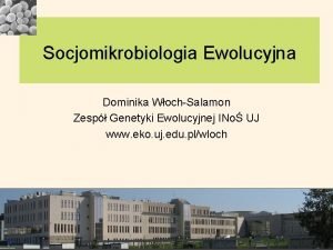 Socjomikrobiologia Ewolucyjna Dominika WochSalamon Zesp Genetyki Ewolucyjnej INo
