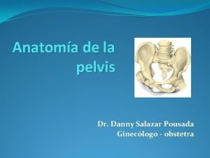 Importancia de la pelvis