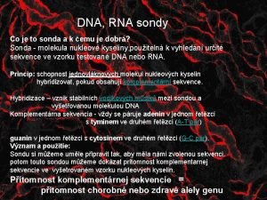 DNA RNA sondy Co je to sonda a