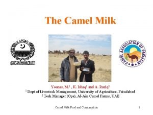 The Camel Milk Younas M 1 K Ishaq